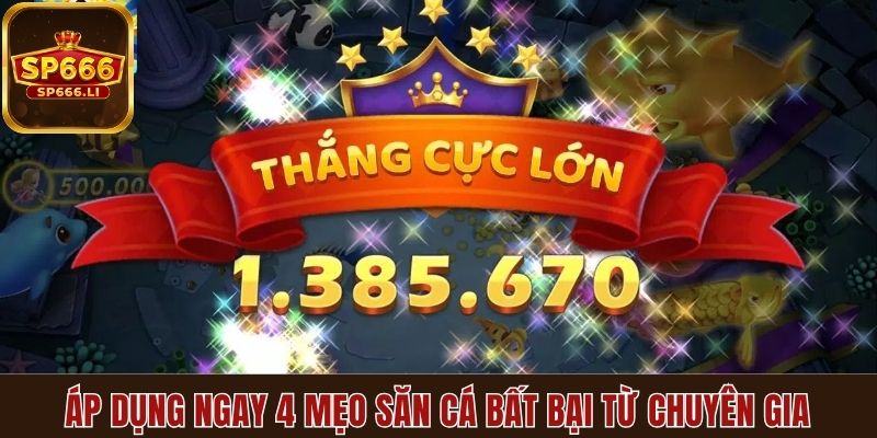Áp dụng ngay 4 mẹo săn cá bất bại từ chuyên gia