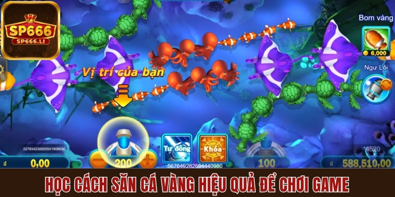 Học cách săn cá vàng hiệu quả để chơi game