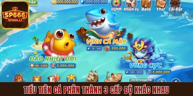Tiểu Tiên Cá phân thành 3 cấp độ khác nhau